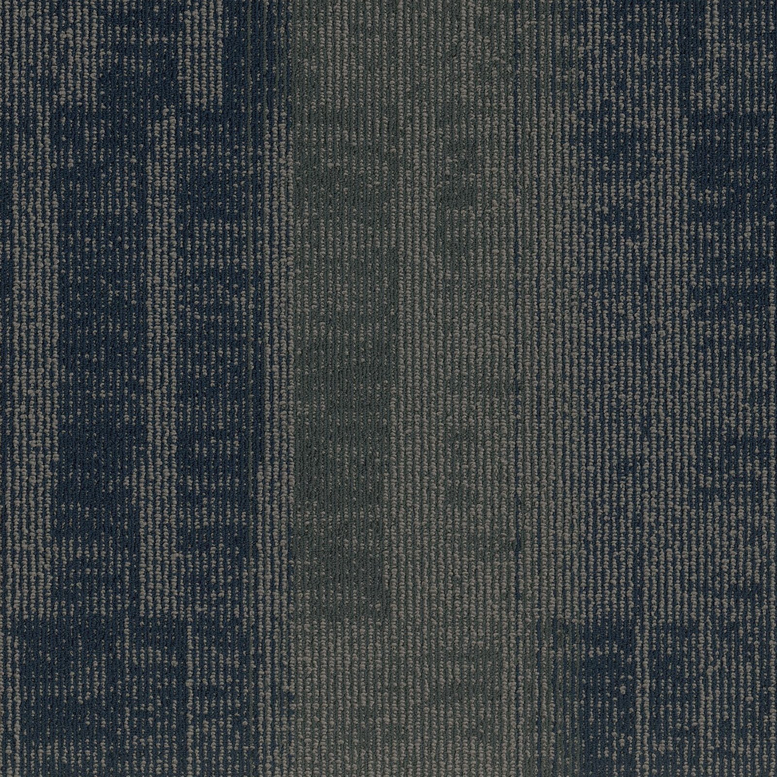 Well Versed II Modular 4